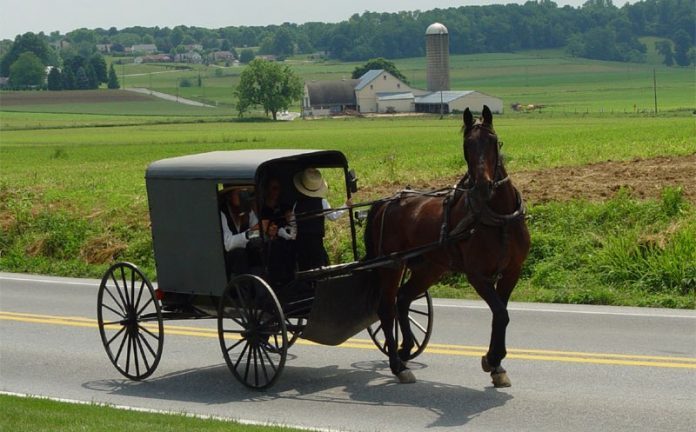 horse_buggy