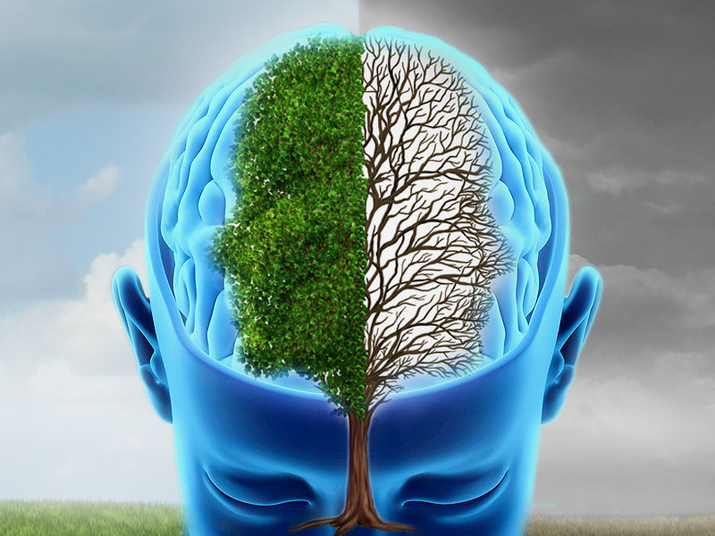 Click to enlarge bipolar brain