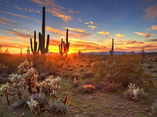 Click to enlarge Arizona desert