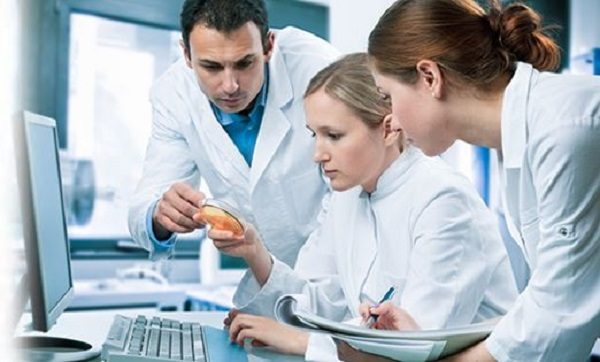 Click to enlarge researchers