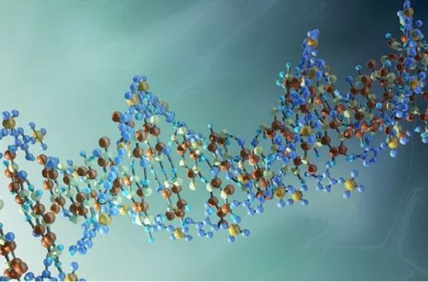 DNA strand