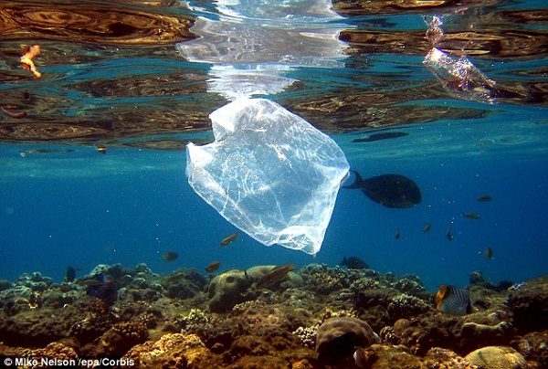 Garbage in ocean