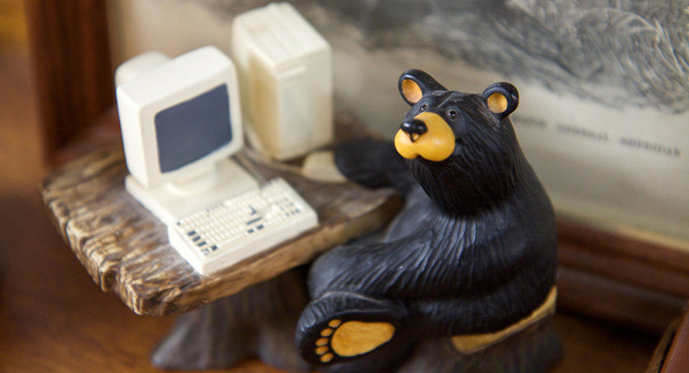 toy bear on computer