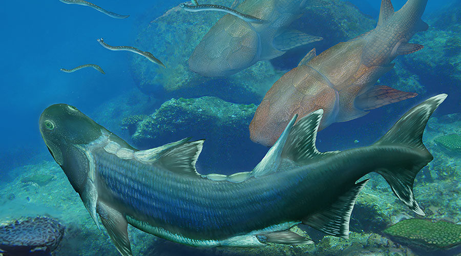 Life restoration of Sparalepis tingi (foreground) and other fauna from the Kuanti Formation