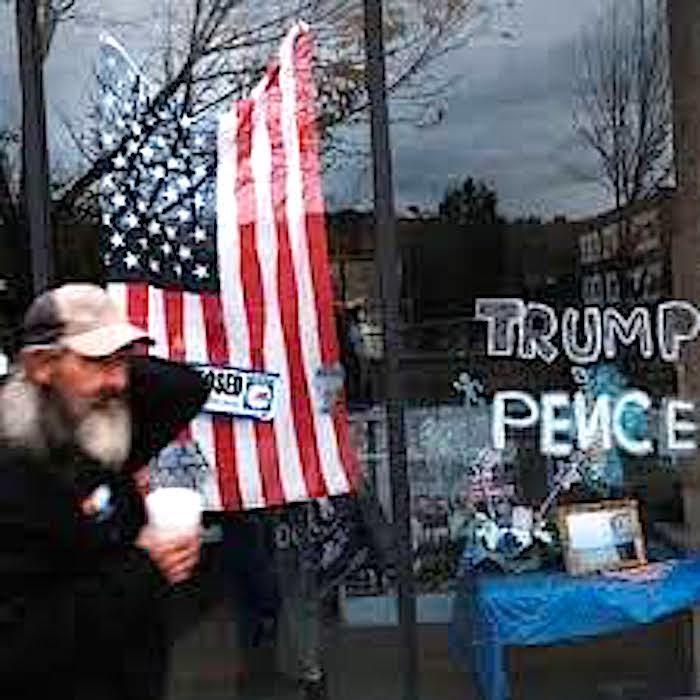 flag in window