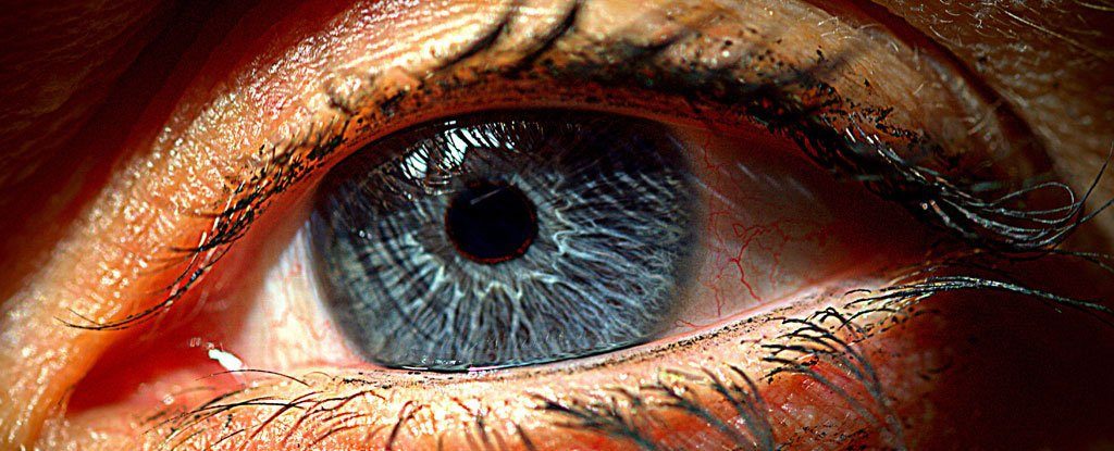 Click to enlarge artificial retina