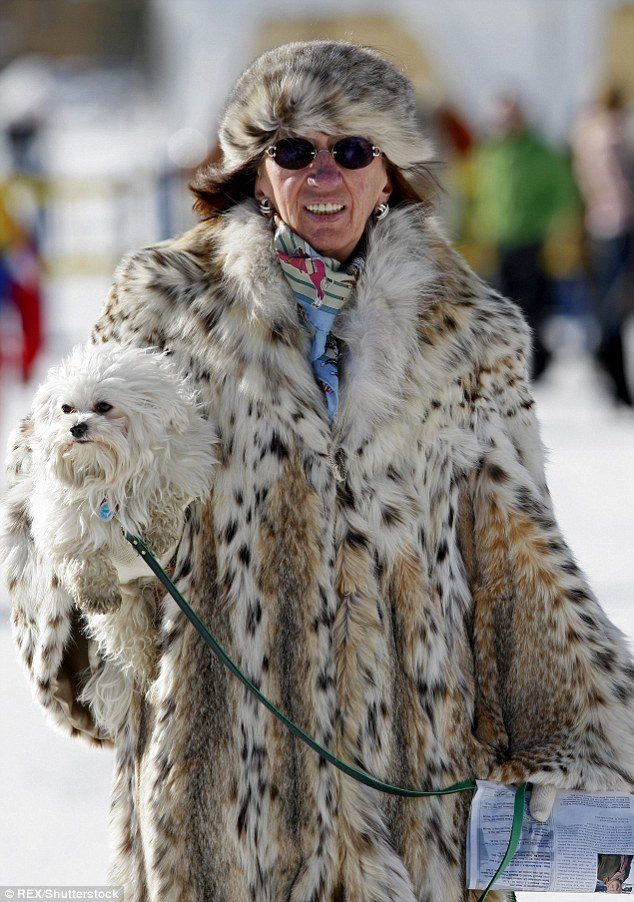 Click to enlarge A woman and her dog at the Cartier World Cup on Snow in St Moritz, Swizerland, in 2008