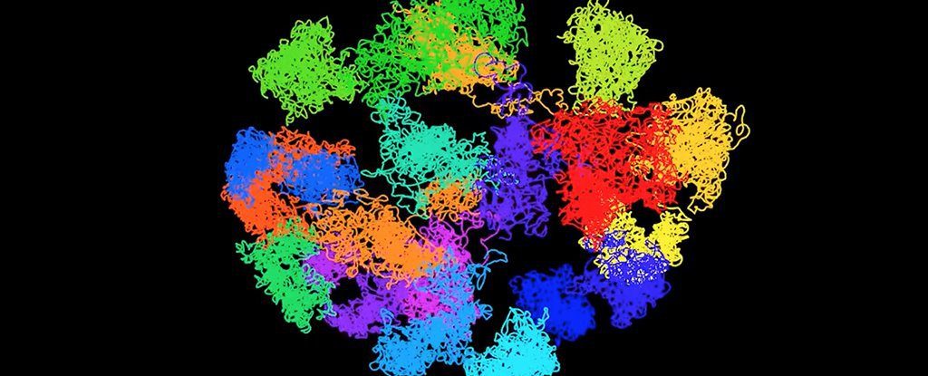 3d DNA