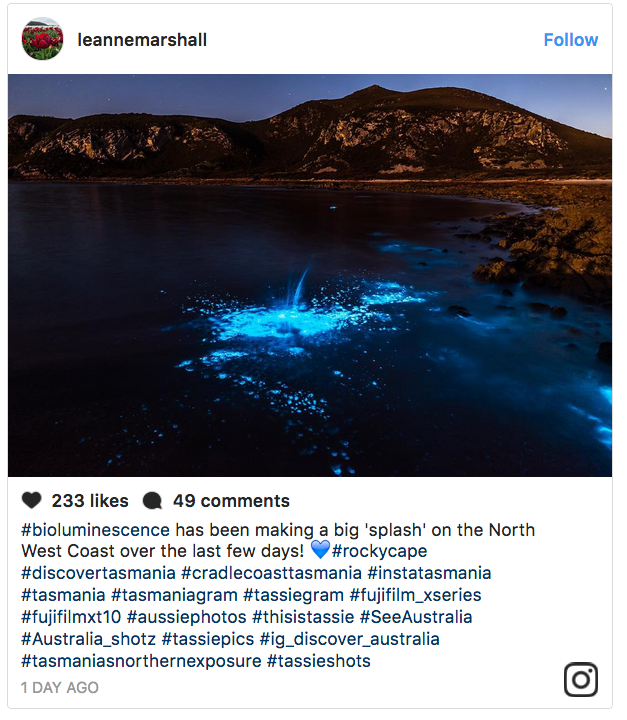Click to enlarge tasmania blue green algae