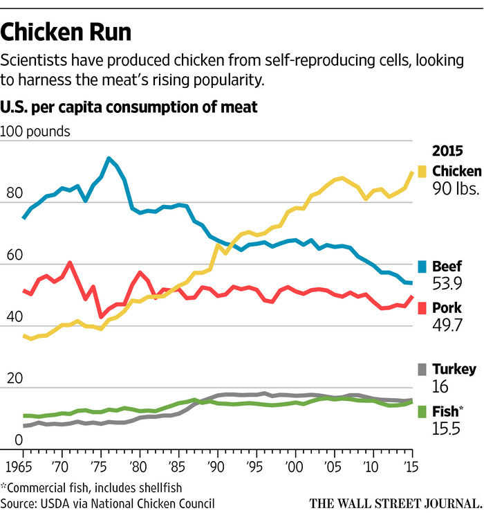 clean meat