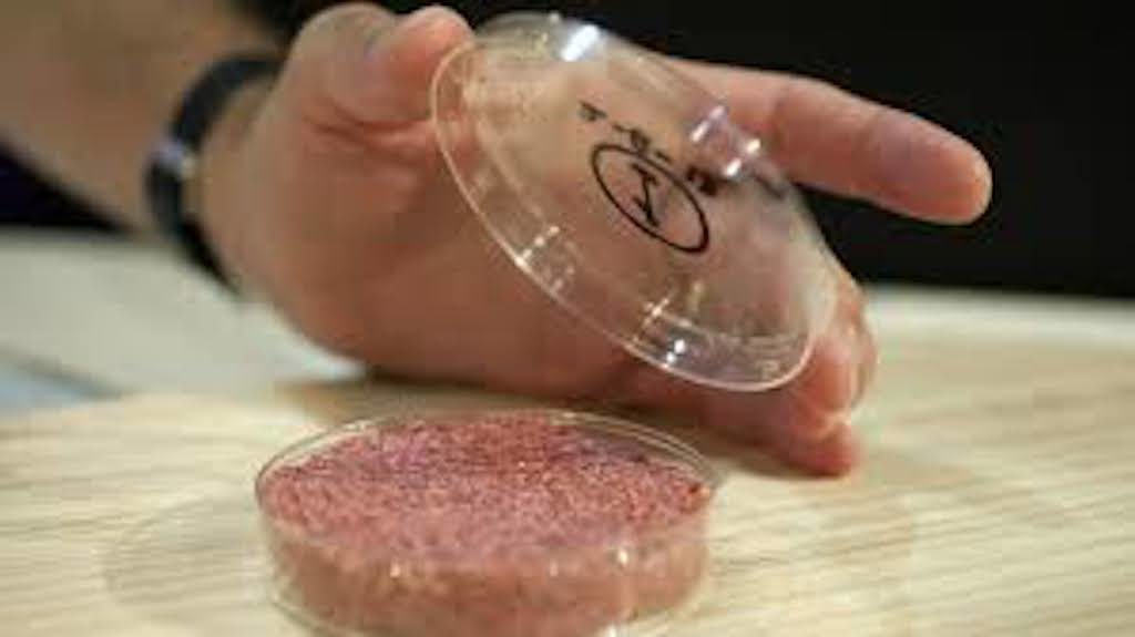 clean meat