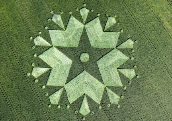 crop circle 2