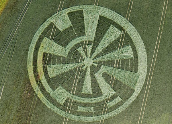 crop circle 3