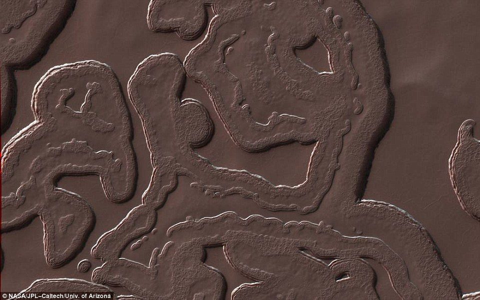 Martian landscape: worms on Mars