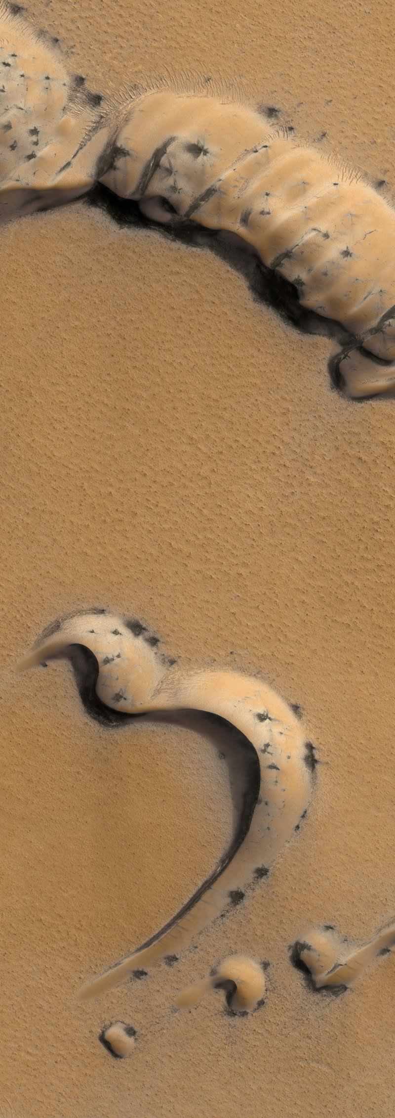 Martian landscape features