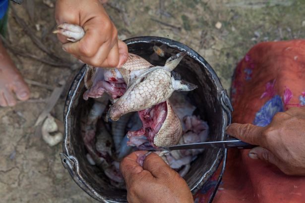 Tsimane diet