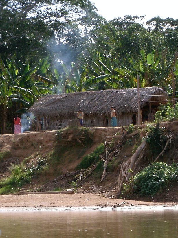 Click to enlarge Tsimane people