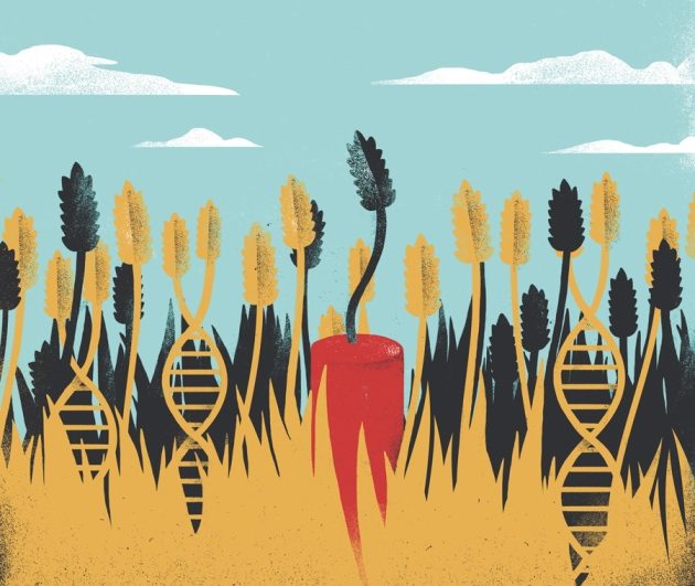 Click to enlarge CRISPR