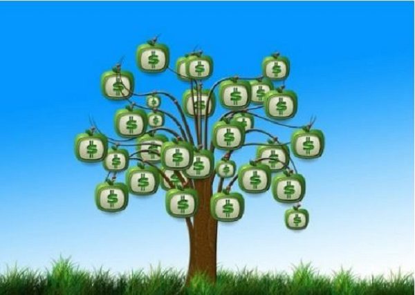 money tree