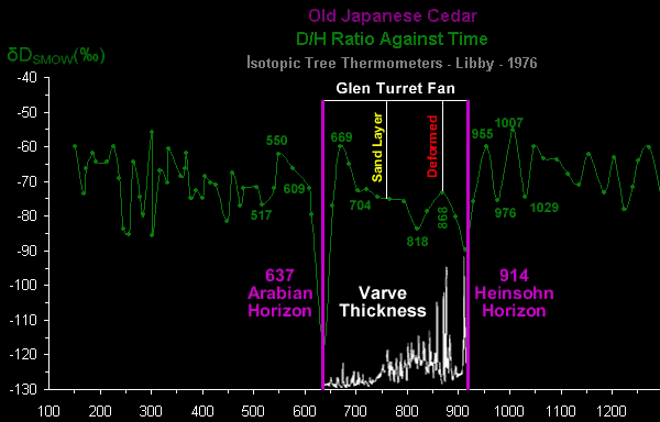 Old Japanese Cedar Tree chronology