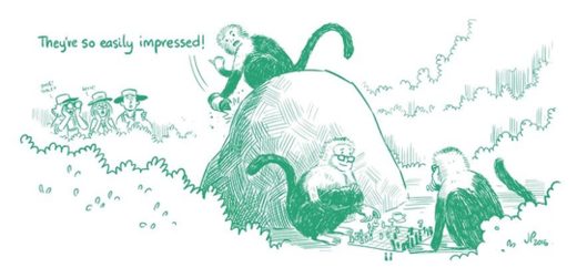 Monky Business