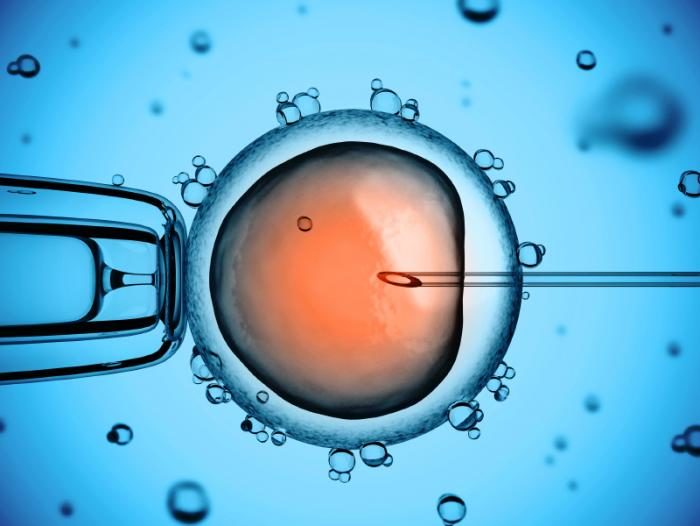 in vitro fertilization