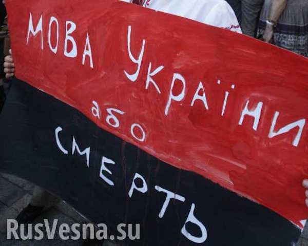Click to enlarge ukraine banner