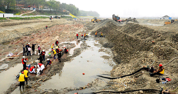Chinese river discovery