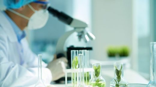 Click to enlarge GMO conflicts of interest