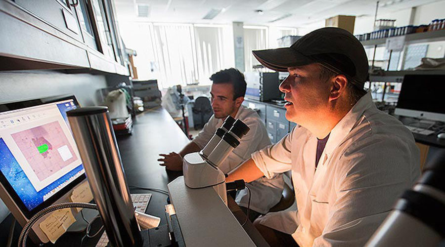 Scientists looking for charcoal