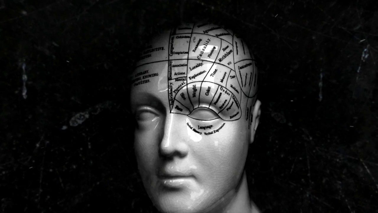 Click to enlarge Human brain diagram