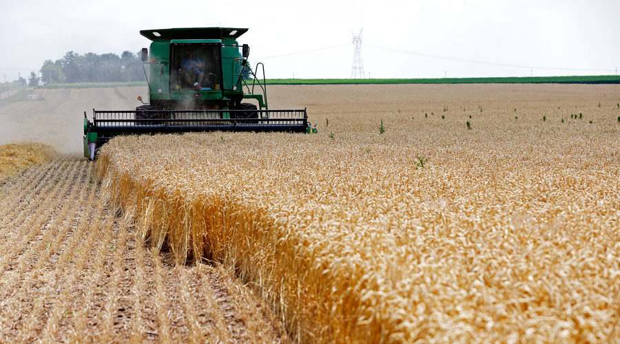 farm tractor wheat