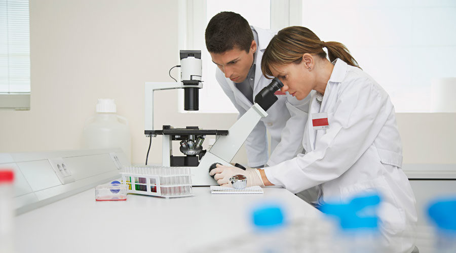 scientists superbugs