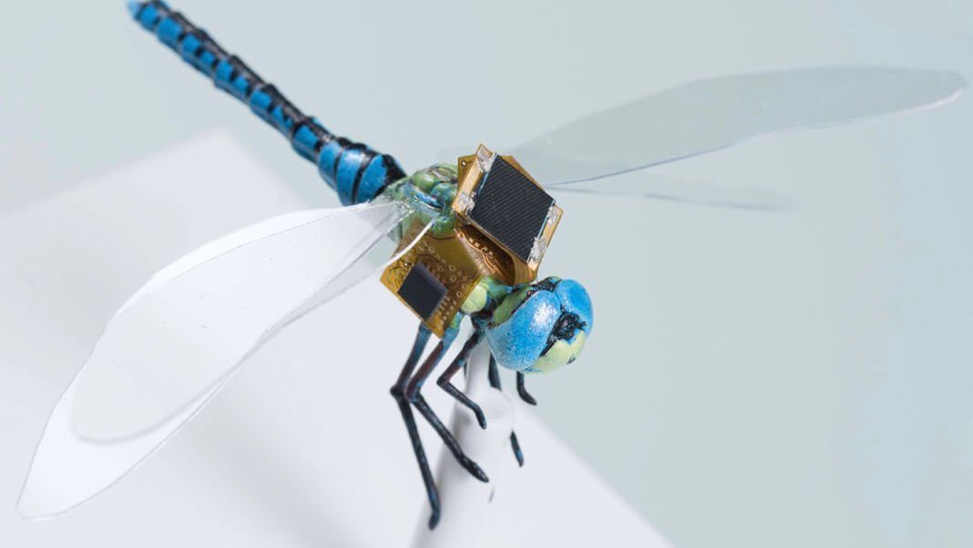 Cyborg Dragonfly