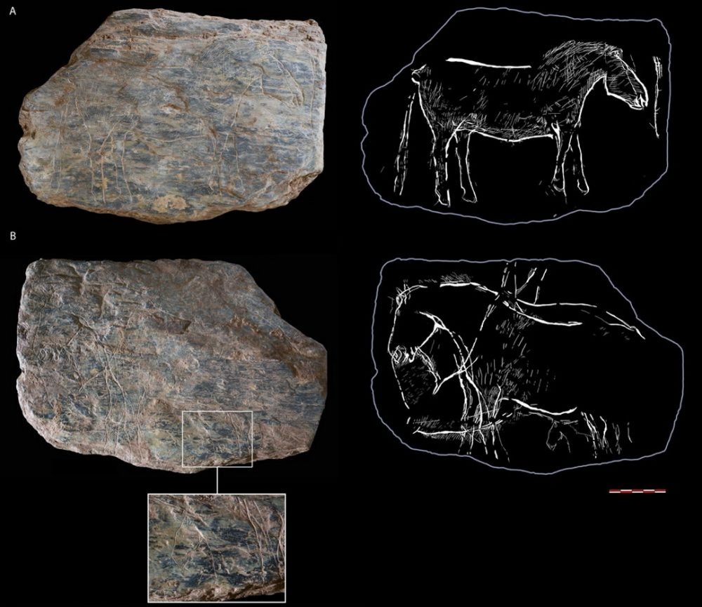 Click to enlarge Two horses