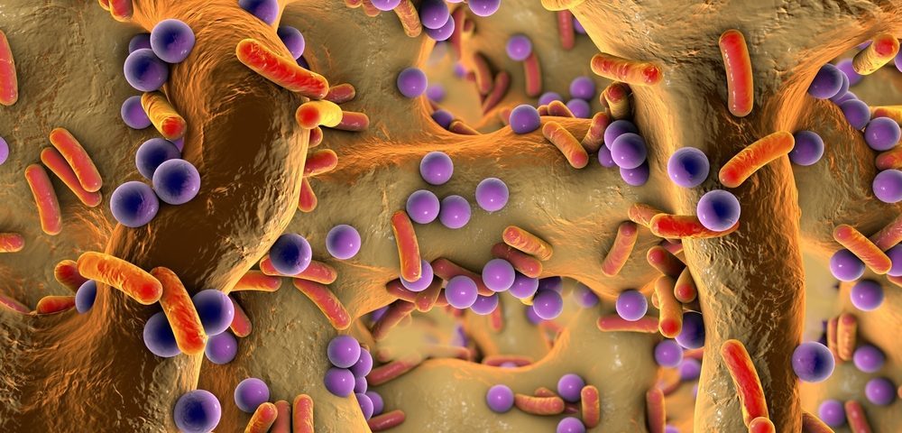 microbiome