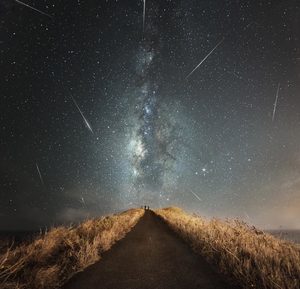 Perseids