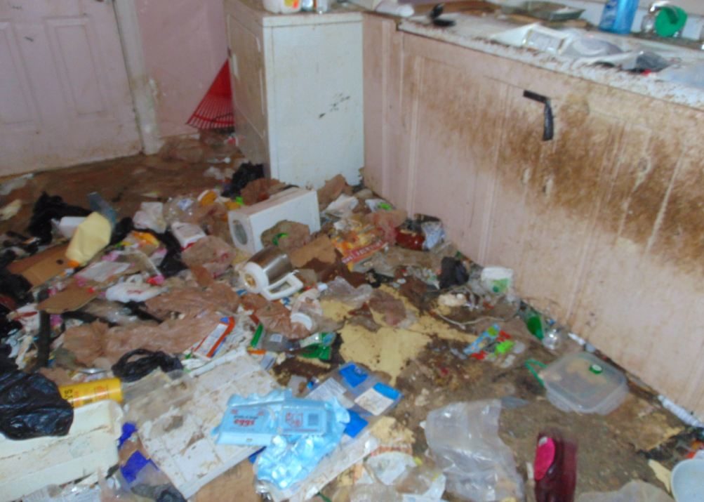 Click to enlarge House conditions