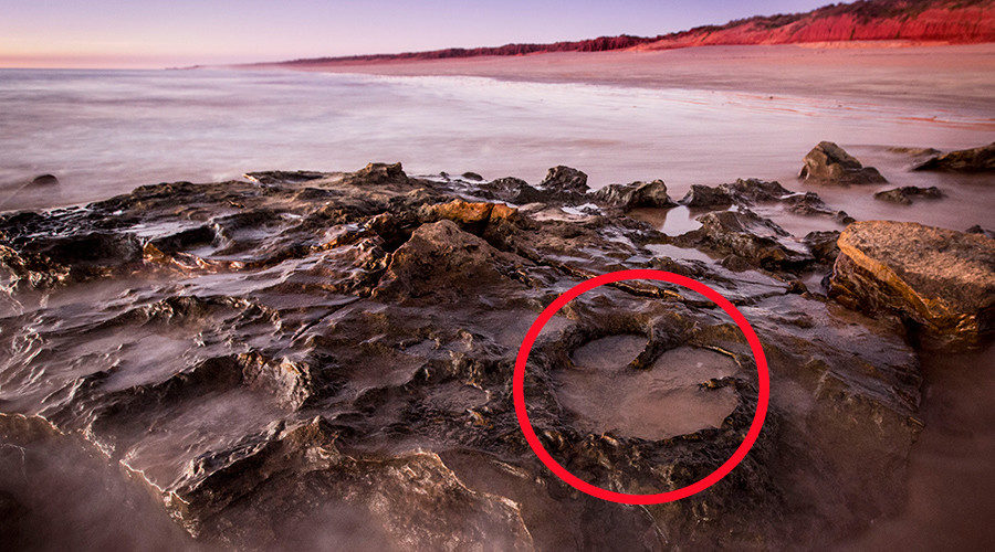 Australia dinosaur footprint