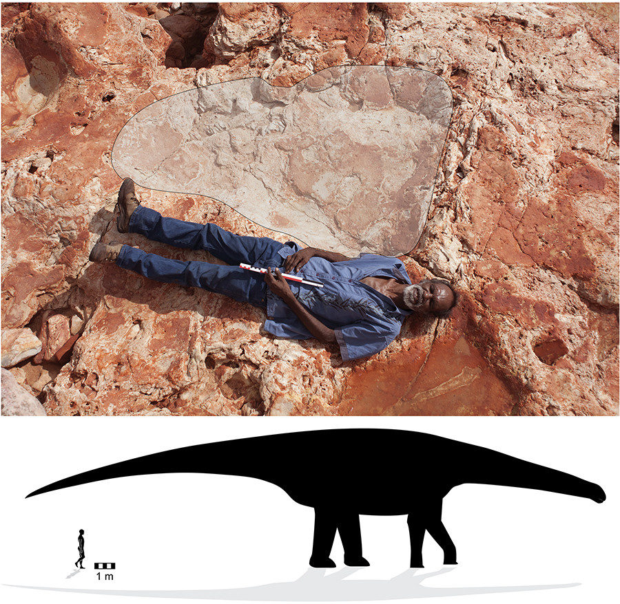 size comparison of dinosaur to man