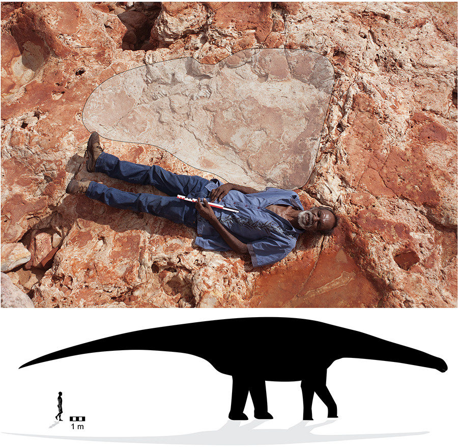 Click to enlarge size comparison of dinosaur to man