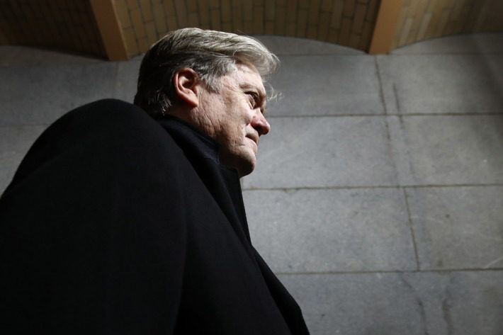 steve bannon