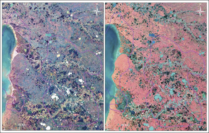 Lakes in the area of Bovanenkovo and Kruzenshternskoye areas (pink outlines) in the Landsat-8 image (a - visible colors, b - infrared synthesis). 