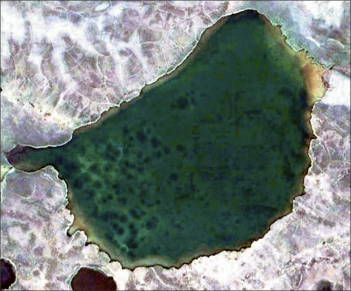 Click to enlarge Lake with craters of gas emissions in the north of the Yamal Peninsula, pictured by Vasily Bogoyavlensky in 2015.