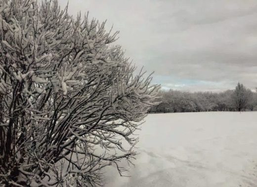 Click to enlarge Ottowa snow