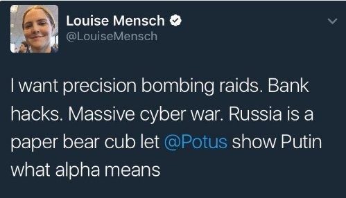 Louse Mensch tweet bombing raids