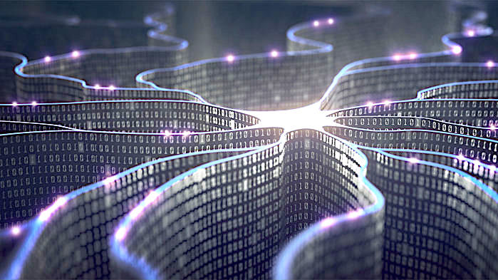 genetic circuits