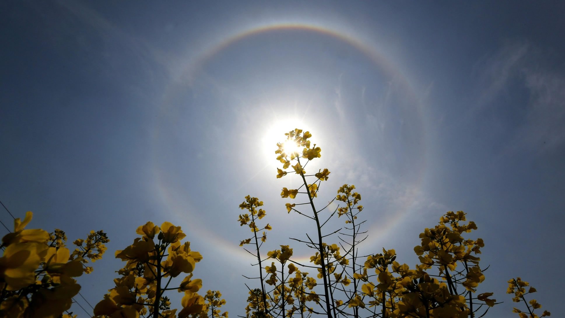 Sun halo in China