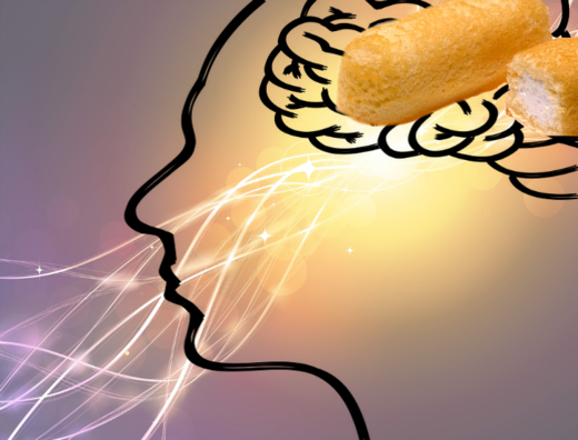 The brain-shrinking effects of a junk food diet