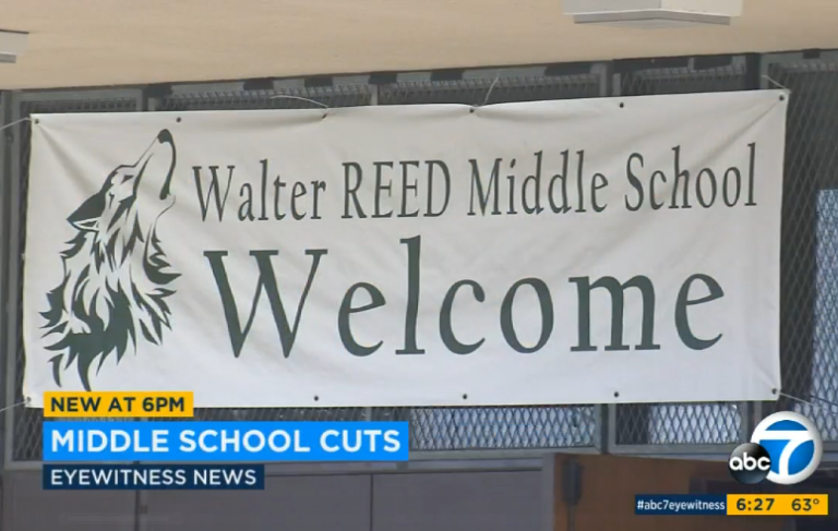 race based school cuts